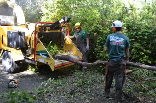 tree services Porterdale